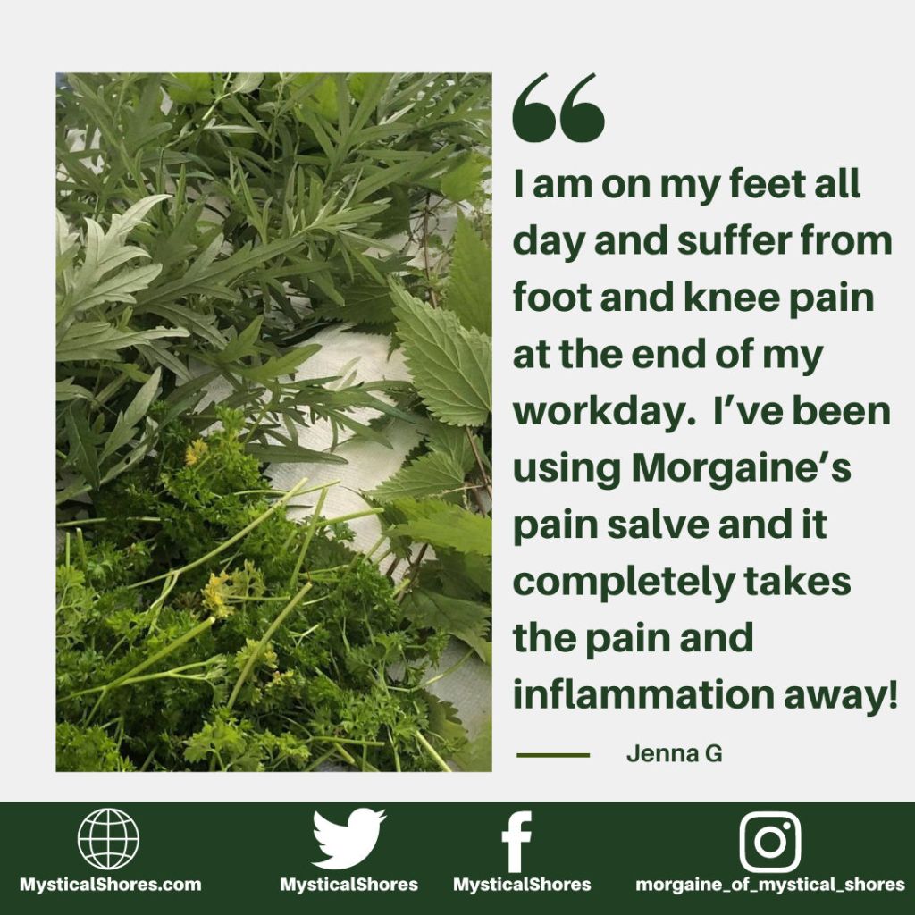 "I am on my feet all day and suffer from foot and knee pain at the end of my workday.  I’ve been using Morgaine’s pain salve and it completely takes the pain and inflammation away!"
- Jenna G.